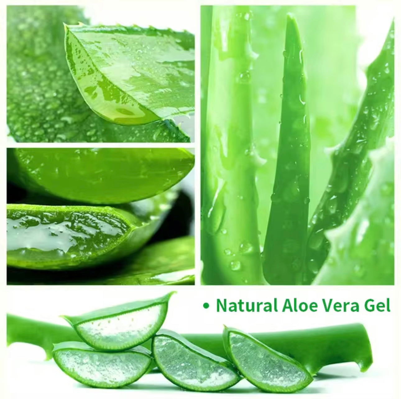 Tea Tree Aloe Gel